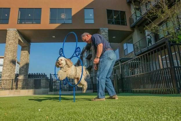 نگهداری سگ در خانه اجاره ای